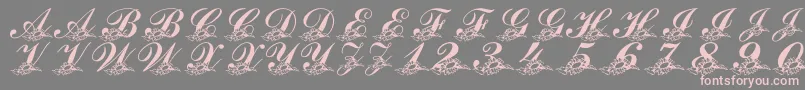 LmsSunflowersForJodie Font – Pink Fonts on Gray Background