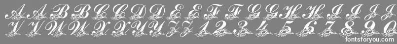 LmsSunflowersForJodie Font – White Fonts on Gray Background