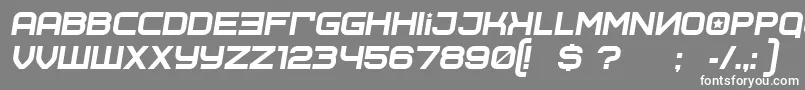 SovietprogramItalic Font – White Fonts on Gray Background
