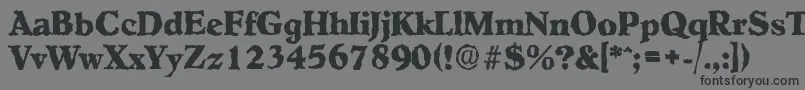 HobokenrandomXboldRegular Font – Black Fonts on Gray Background