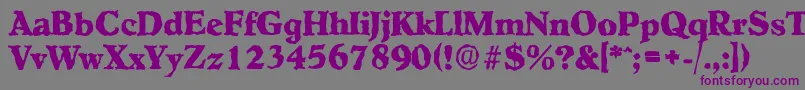 HobokenrandomXboldRegular Font – Purple Fonts on Gray Background