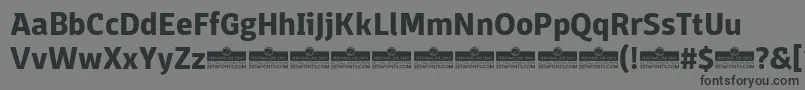 DomotikaBoldTrial Font – Black Fonts on Gray Background