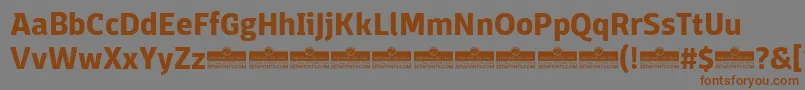 Czcionka DomotikaBoldTrial – brązowe czcionki na szarym tle