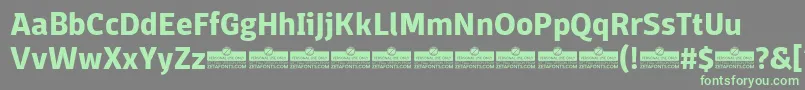 Czcionka DomotikaBoldTrial – zielone czcionki na szarym tle