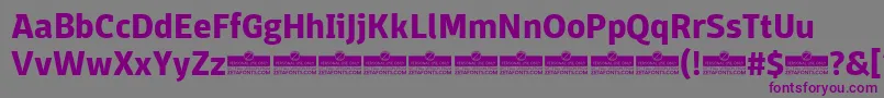 フォントDomotikaBoldTrial – 紫色のフォント、灰色の背景