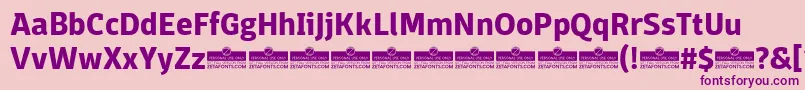 DomotikaBoldTrial Font – Purple Fonts on Pink Background