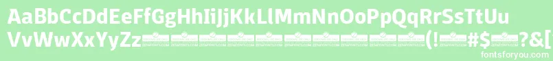 DomotikaBoldTrial Font – White Fonts on Green Background