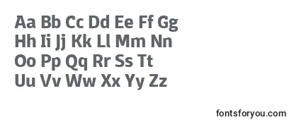 DomotikaBoldTrial Font