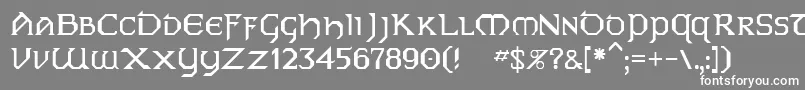 Шрифт Dublin – белые шрифты на сером фоне
