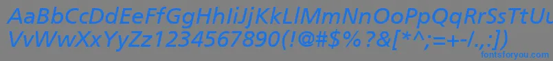 フォントPalmaSsiItalic – 灰色の背景に青い文字