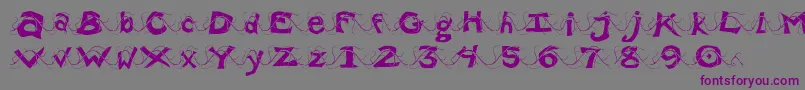 フォントWlentanglemental – 紫色のフォント、灰色の背景