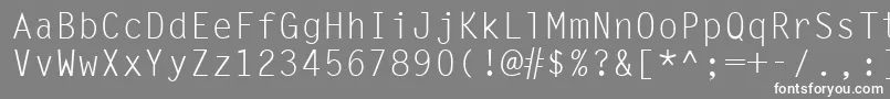 フォントUkrmonospaced – 灰色の背景に白い文字