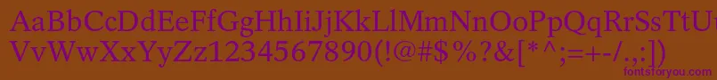 RotationltstdRoman Font – Purple Fonts on Brown Background