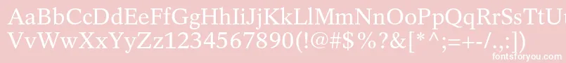 フォントRotationltstdRoman – ピンクの背景に白い文字