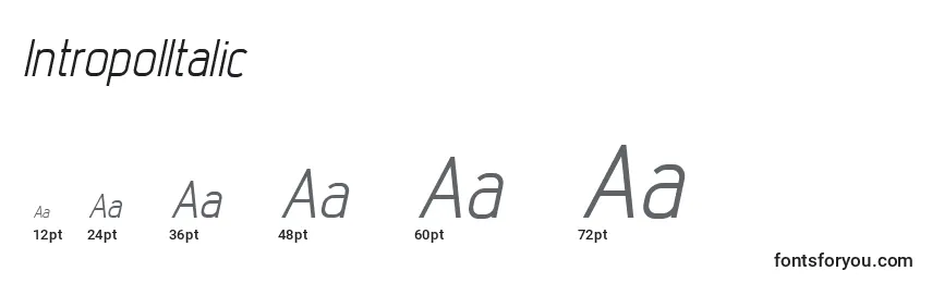 IntropolItalic Font Sizes