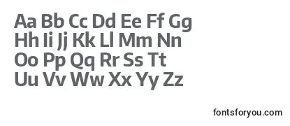 EncodesansnarrowBold Font