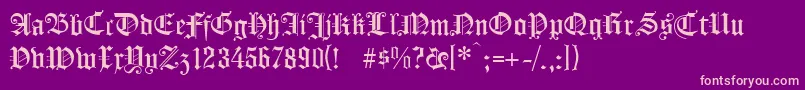Koenigsbergerunz1l Font – Pink Fonts on Purple Background