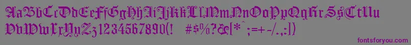 Koenigsbergerunz1l Font – Purple Fonts on Gray Background