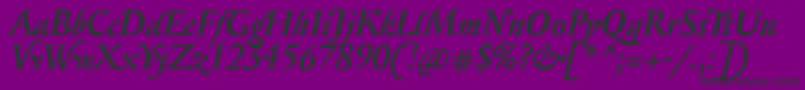 SerapioniitxnBolditalic Font – Black Fonts on Purple Background