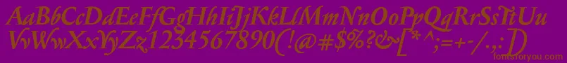 SerapioniitxnBolditalic Font – Brown Fonts on Purple Background