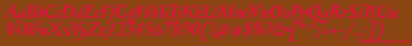 SerapioniitxnBolditalic Font – Red Fonts on Brown Background