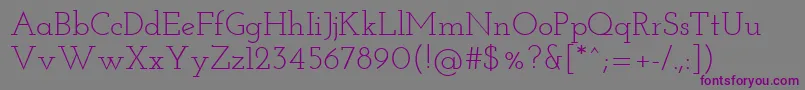 Шрифт JosefinSlab – фиолетовые шрифты на сером фоне
