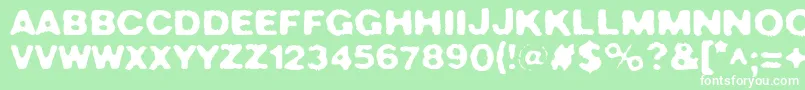CrushNo.49 Font – White Fonts on Green Background