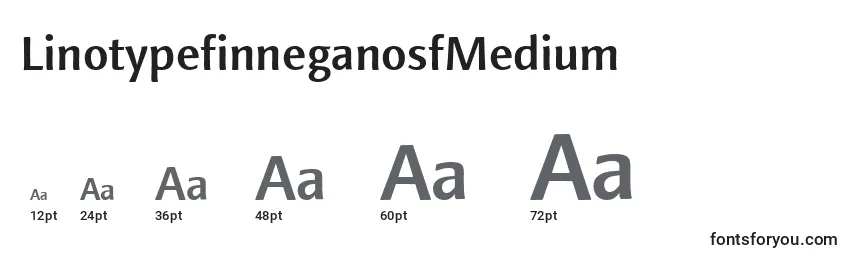 LinotypefinneganosfMedium Font Sizes