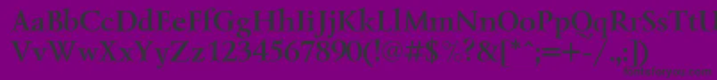 Lzr65C Font – Black Fonts on Purple Background