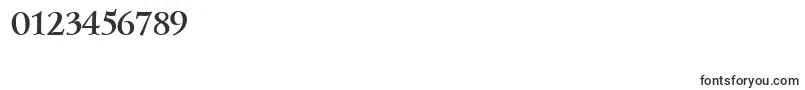 Lzr65C Font – Fonts for Numbers and Digits