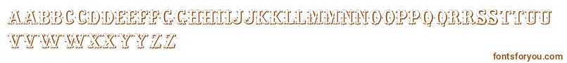 LivingInThePast Font – Brown Fonts on White Background