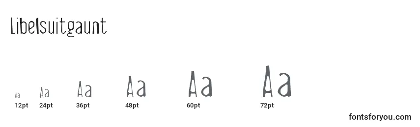 Размеры шрифта Libelsuitgaunt