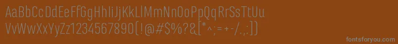 MarianinaFyLight Font – Gray Fonts on Brown Background
