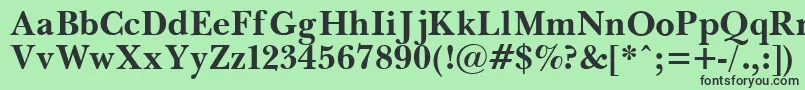 PasmaBold.001.001 Font – Black Fonts on Green Background