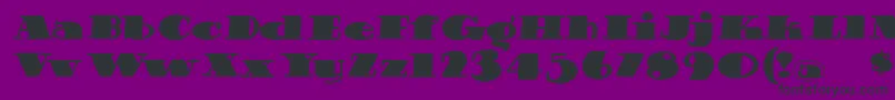 Cheeriofatitalic Font – Black Fonts on Purple Background