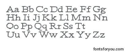 Обзор шрифта Moa1