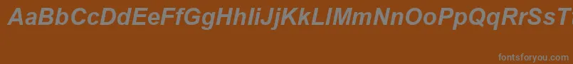 ArialSpecialG1BoldItalic Font – Gray Fonts on Brown Background