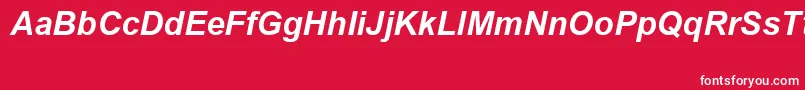 フォントArialSpecialG1BoldItalic – 赤い背景に白い文字