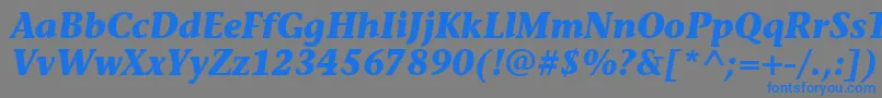 フォントStoneInfItcTtBolditalic – 灰色の背景に青い文字