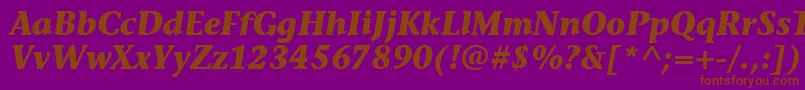 StoneInfItcTtBolditalic Font – Brown Fonts on Purple Background