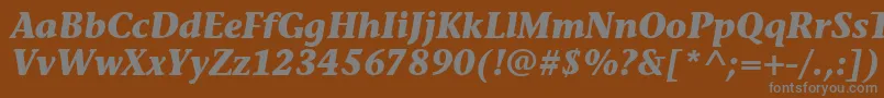 フォントStoneInfItcTtBolditalic – 茶色の背景に灰色の文字