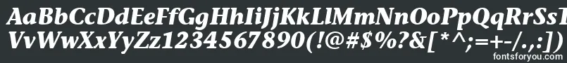 フォントStoneInfItcTtBolditalic – 黒い背景に白い文字