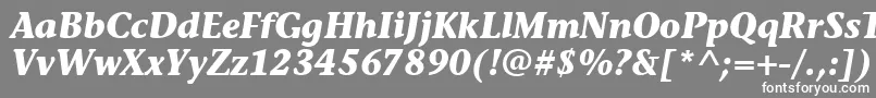 フォントStoneInfItcTtBolditalic – 灰色の背景に白い文字