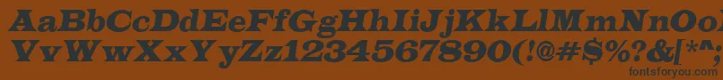 ALatinoItalic Font – Black Fonts on Brown Background