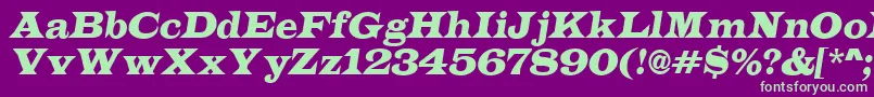ALatinoItalic Font – Green Fonts on Purple Background