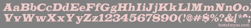 ALatinoItalic-fontti – vaaleanpunaiset fontit harmaalla taustalla