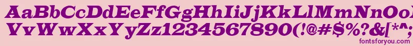 ALatinoItalic Font – Purple Fonts on Pink Background