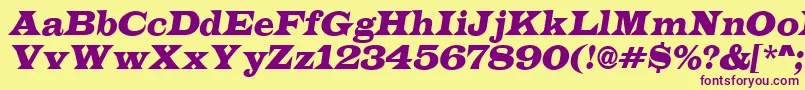 ALatinoItalic Font – Purple Fonts on Yellow Background