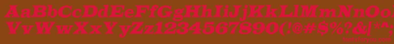 ALatinoItalic Font – Red Fonts on Brown Background