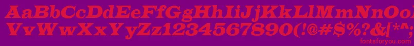 ALatinoItalic Font – Red Fonts on Purple Background